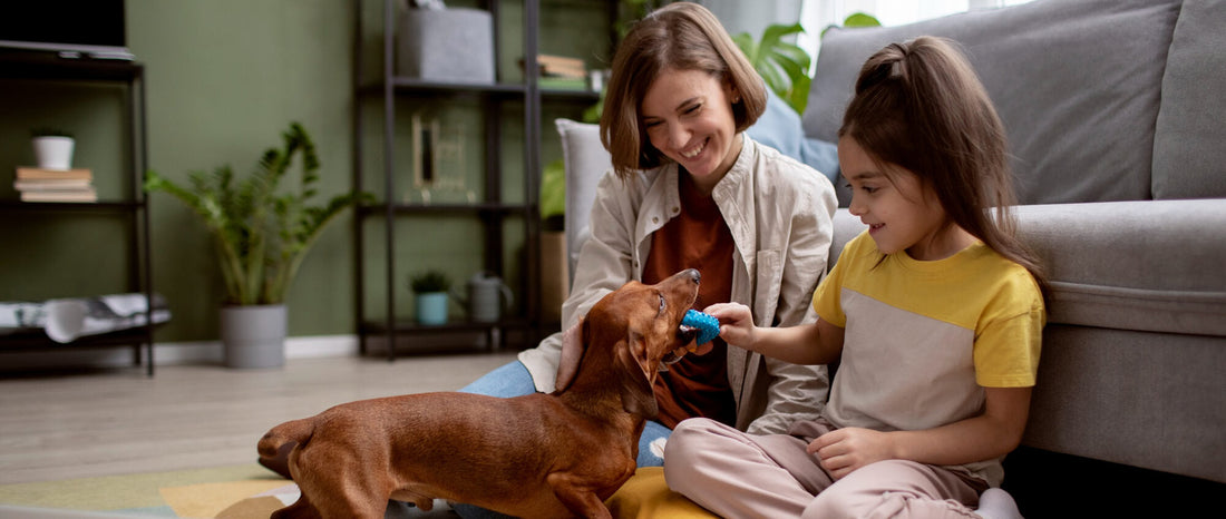 10 Must-Have Pet Products Every Pet Parent Swears By